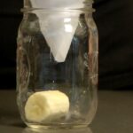 How to Make Your Own Fruit Fly Trap