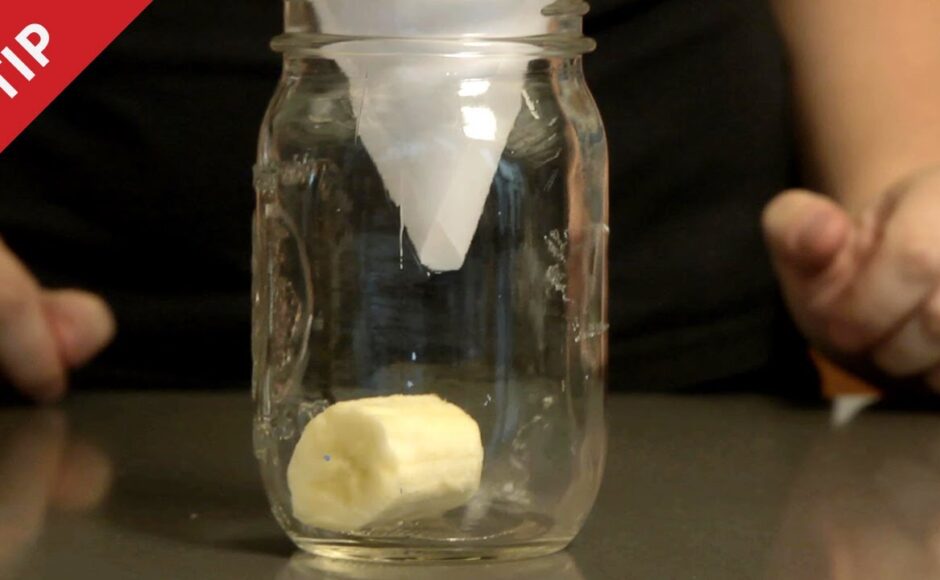 How to Make Your Own Fruit Fly Trap
